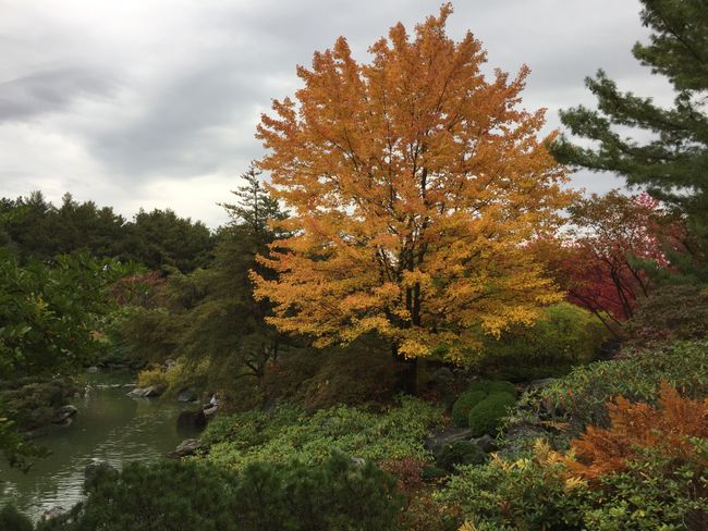 Botanic Garden and Garden of Lights