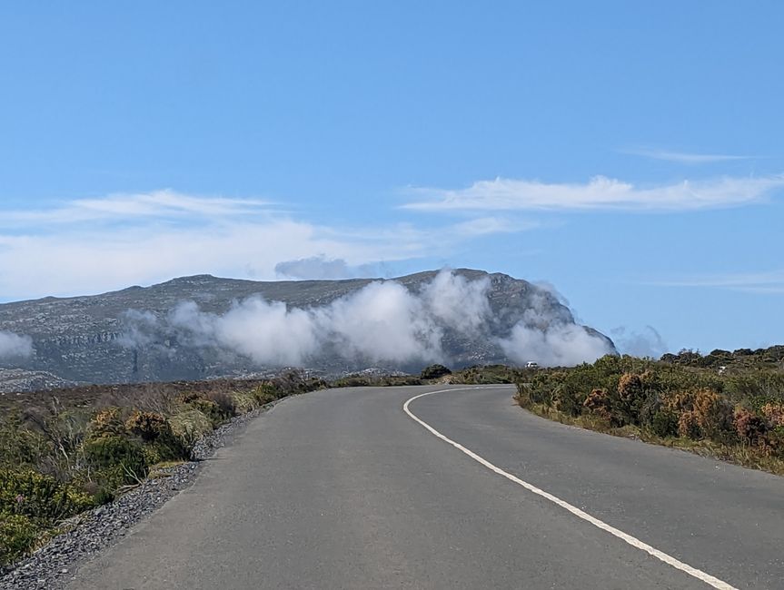 Cape Point Route 165 km