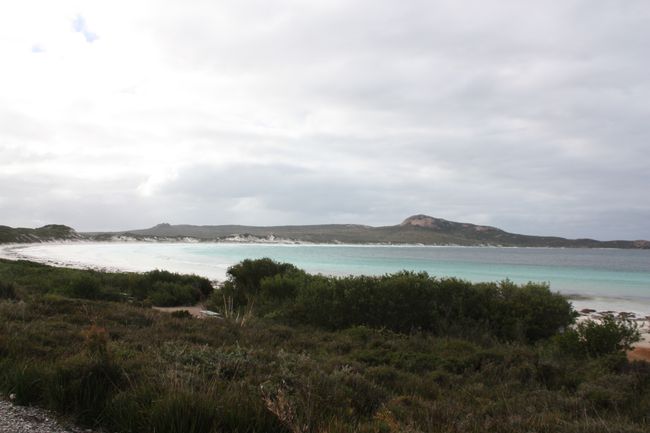 Lucky Bay! A beach that lives up to its name