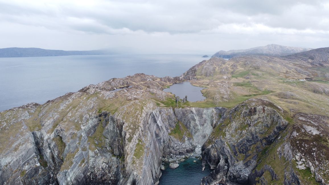 First trips in County Cork (Mizen Head, Youghal and meeting seals) - 6 months in Ireland