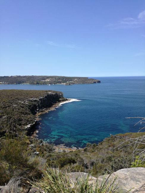 View of Manly Bay and the Pacific