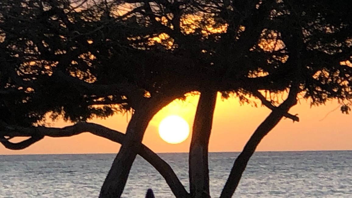 Sonnenuntergand Aruba beach villas