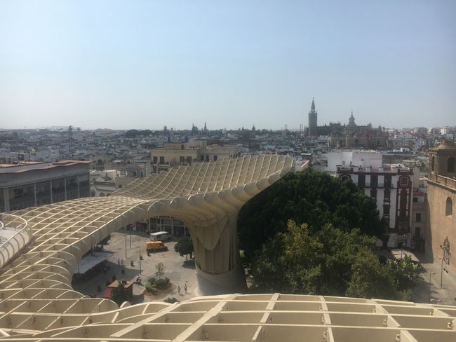 Sevilla 🇪🇸