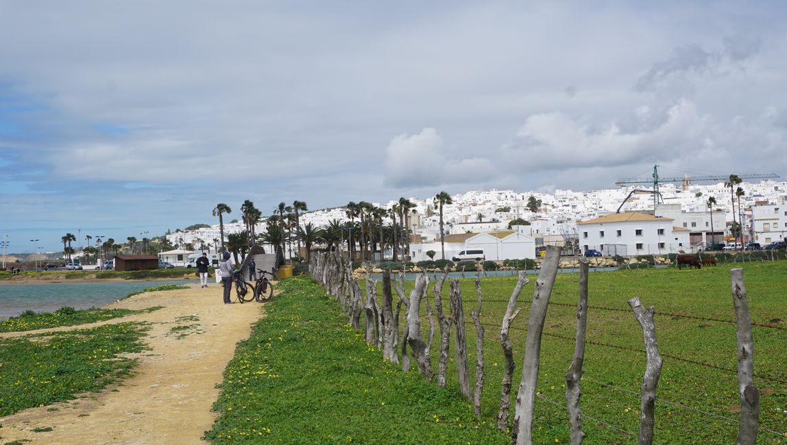 the white houses and the green landscape