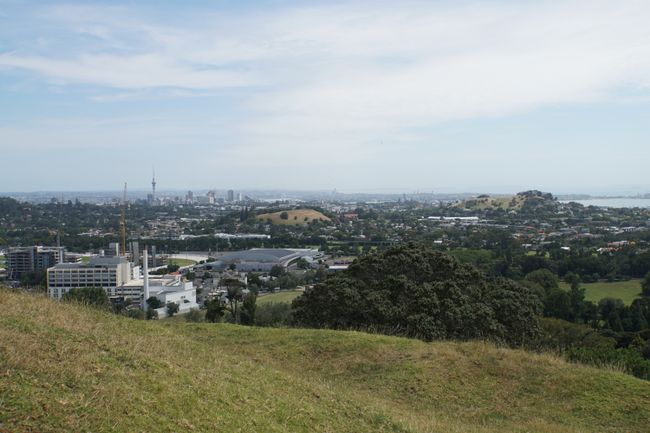 Blick auf Aucklands Zentrum