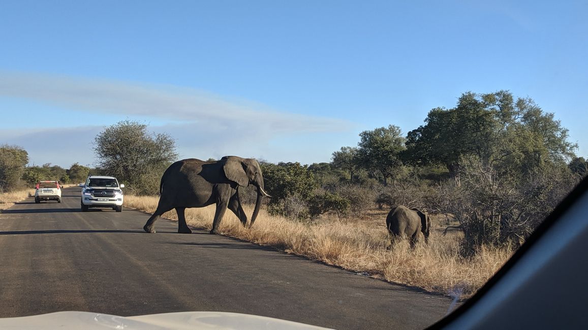 Tag 15: Vom Kruger NP bis Marloth Park