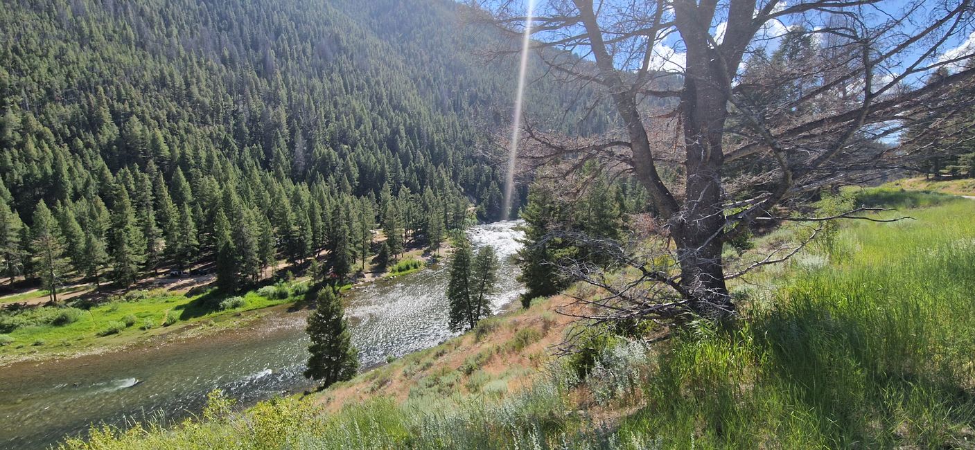 Fly Fishing on the upper Salmon River