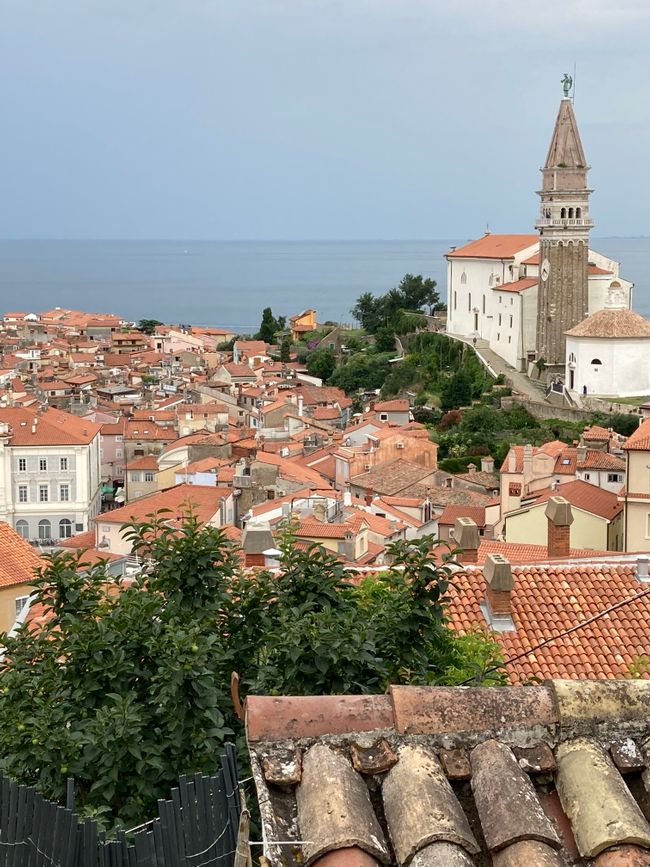 Piran from above