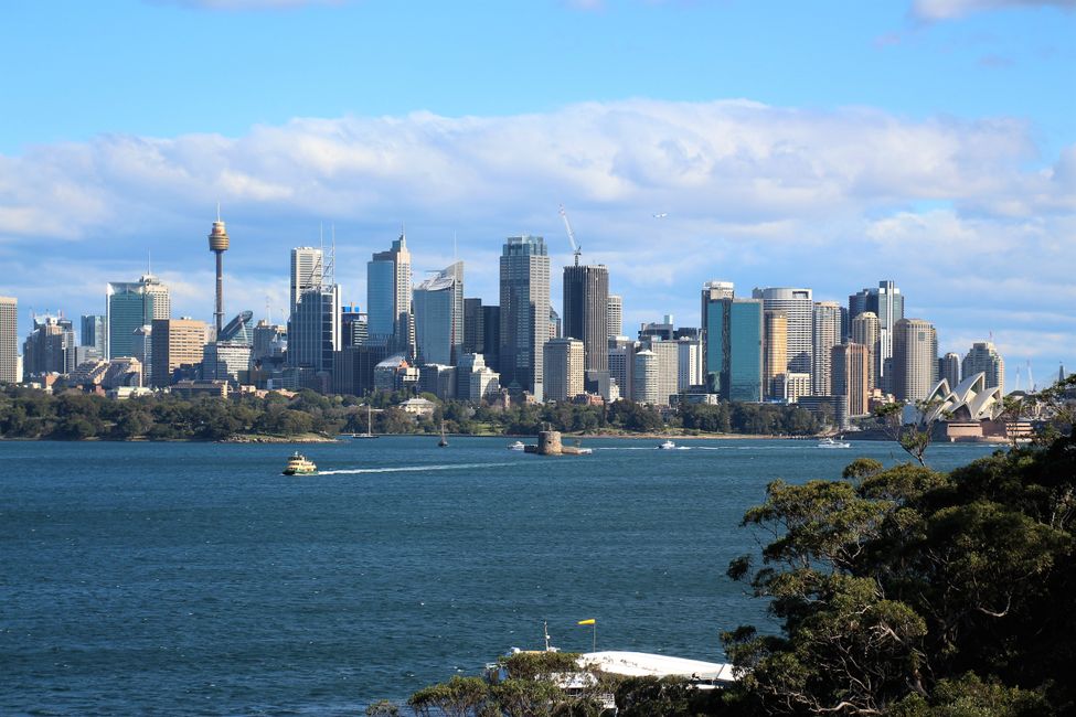 Vom Zoo aus gibts einen tollen Ausblick auf Downtown Sydney