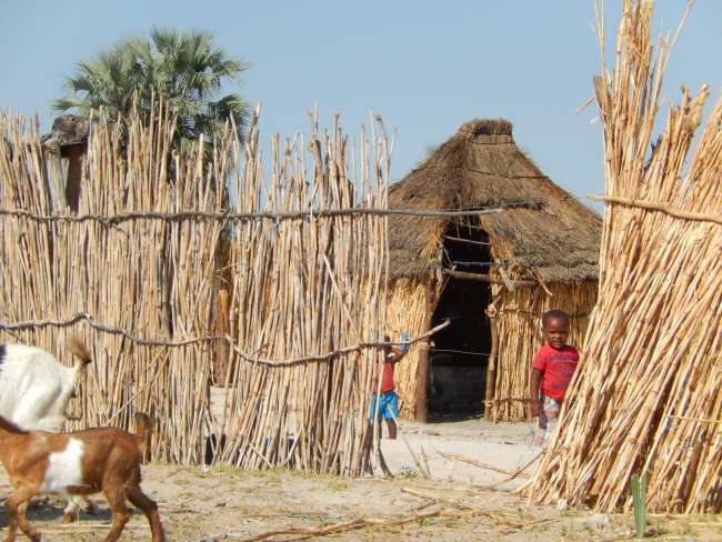 Kawango huts