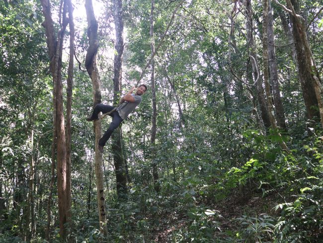 My name is Tarzan, I am jungle-man (Tag 73 der Weltreise)
