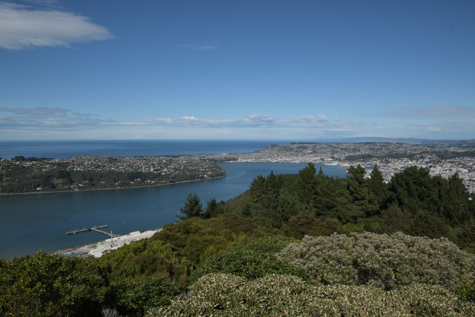 Dunedin - Blick vom Signal Hill
