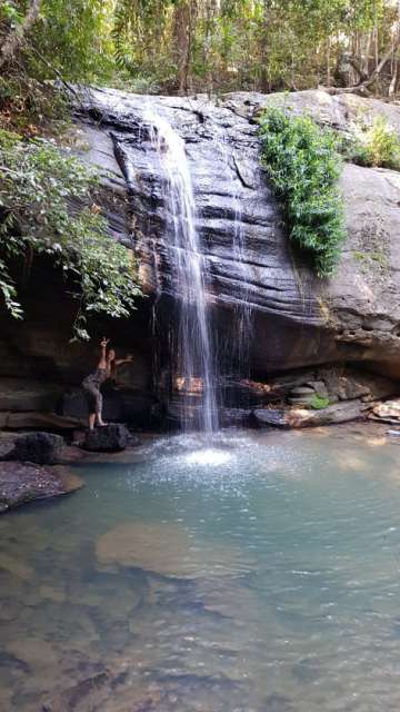 Kleiner Wasserfall in Buderim 