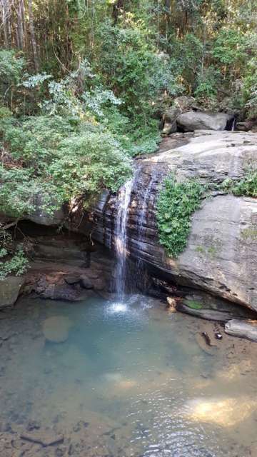 Buderim Falls 