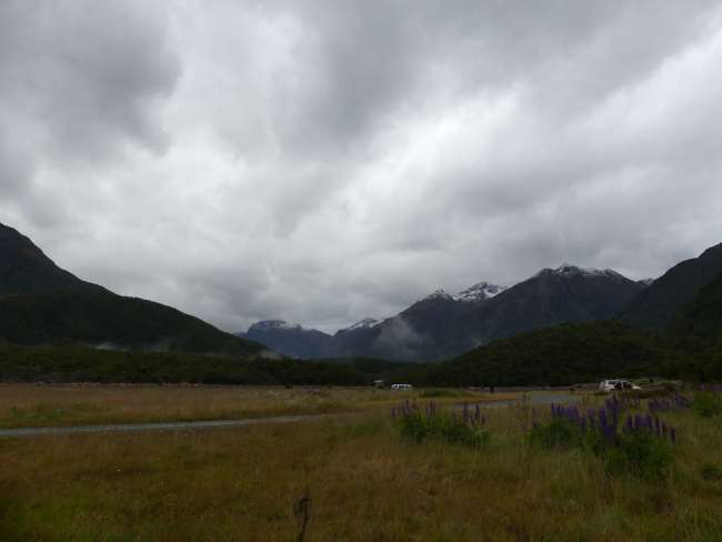 Our campground in Fiordland on the road to Milford Sound
