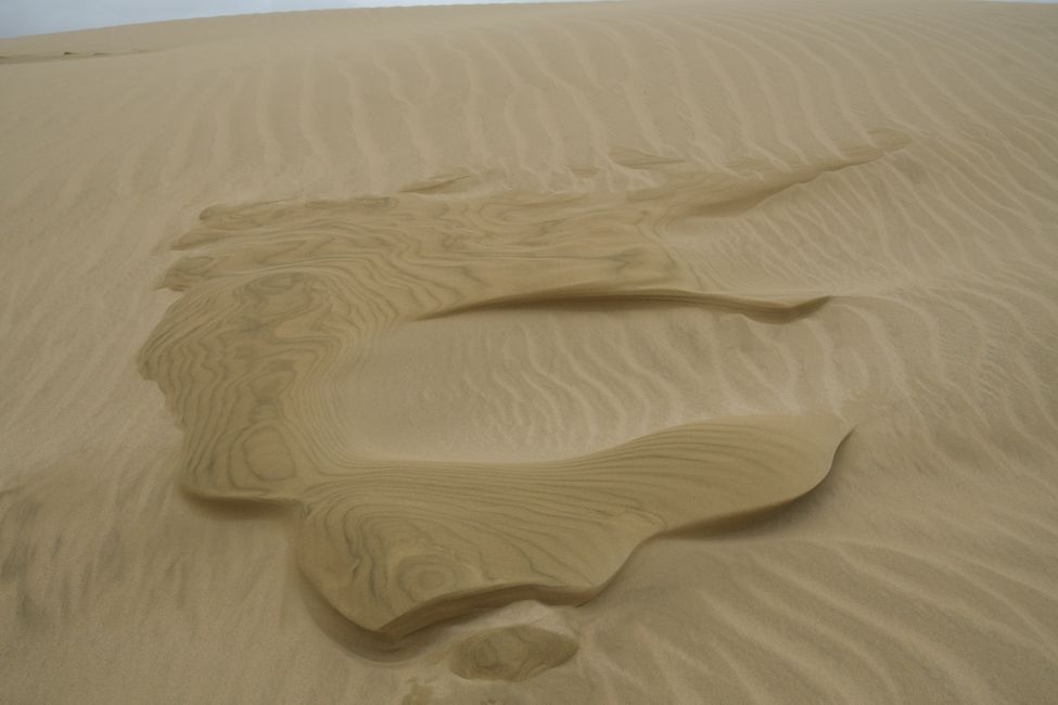 North of the North - Te Paki Sand Dune