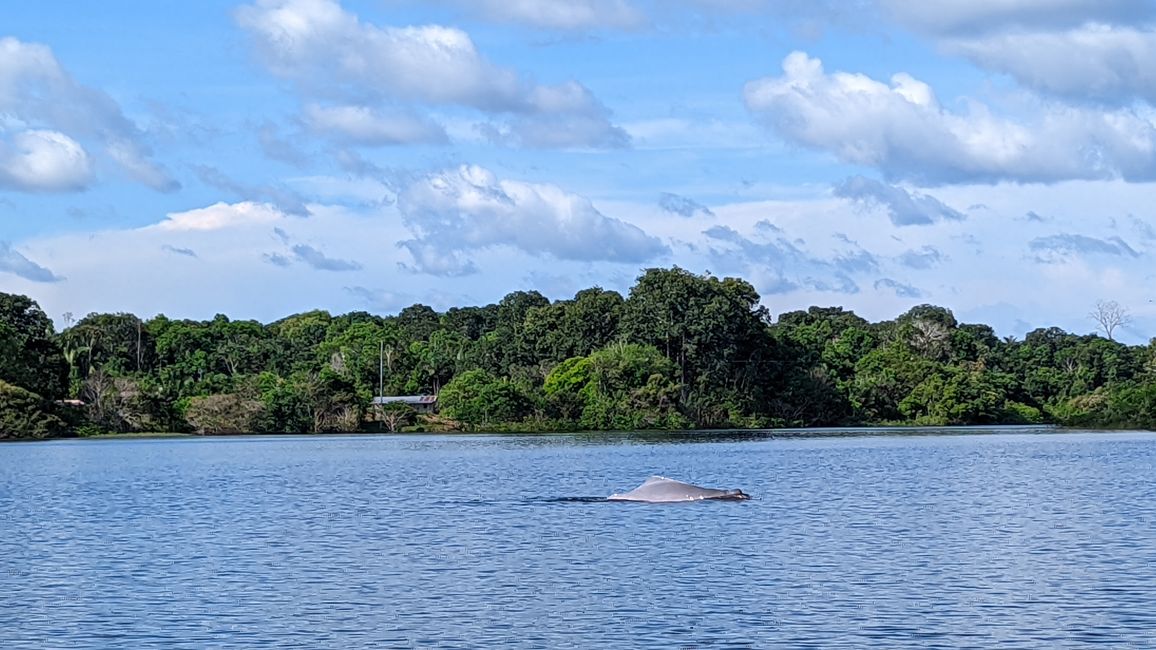 2. Día en la selva amazónica