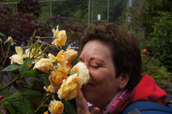 بورتلاند (أوريغون) - من حديقة الورود إلى أصغر حديقة في العالم