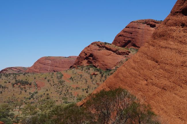 view from the lookout on the back of the Olgas