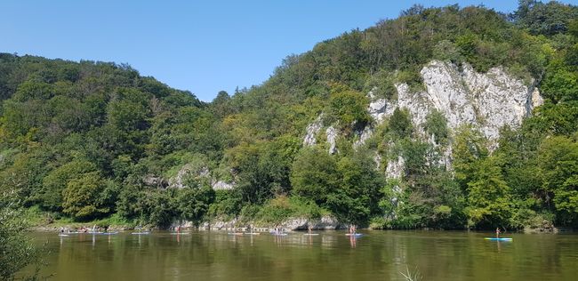 SUPs auf der Donau Höhe Kloster Weltenburg
