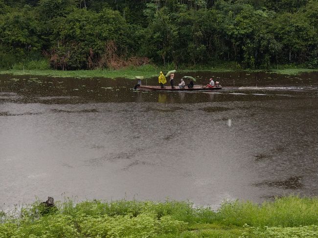 Amazonasabenteuer in Iquitos