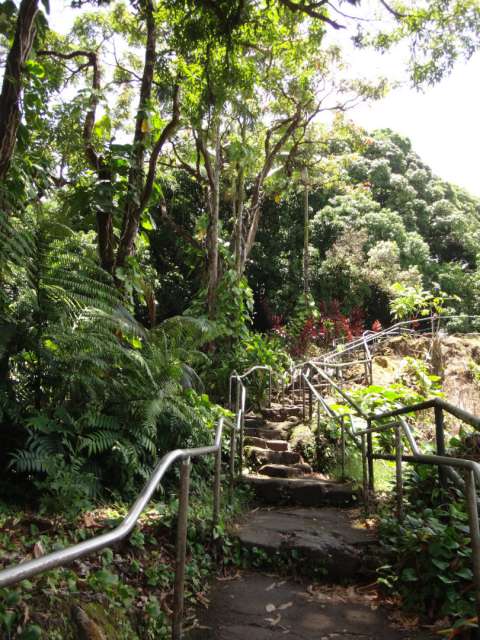 Carretera N° 19 Hilo-Laupahoehoe, Isla Grande (Hawái)