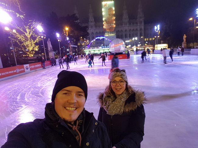 Vienna Ice World