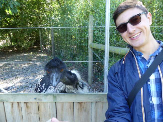 Andi with an emu
