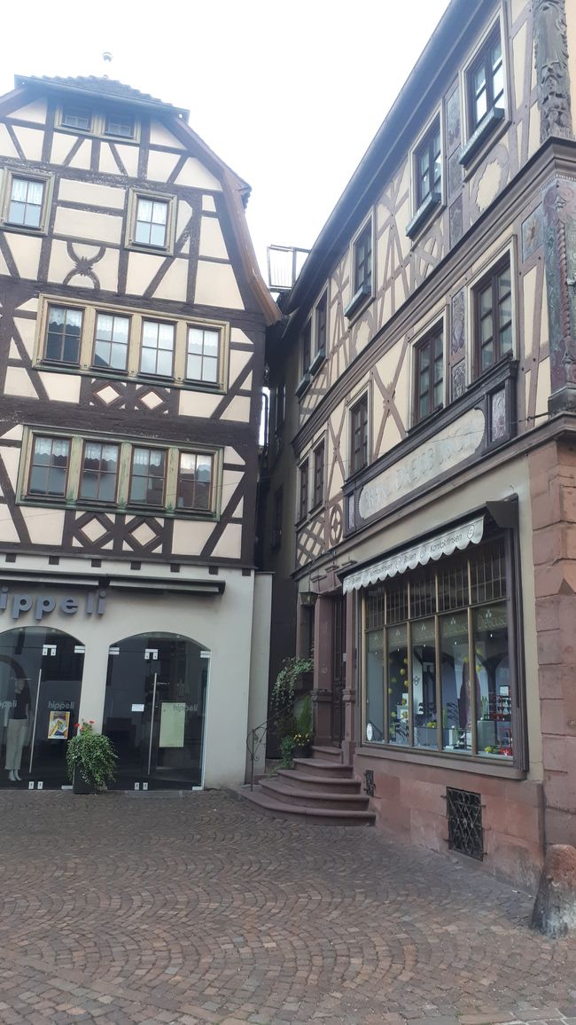 Lohr 3