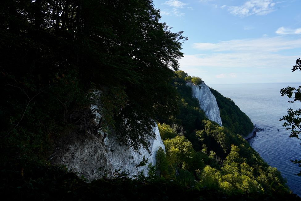 Kreidefelsen auf Rügen III