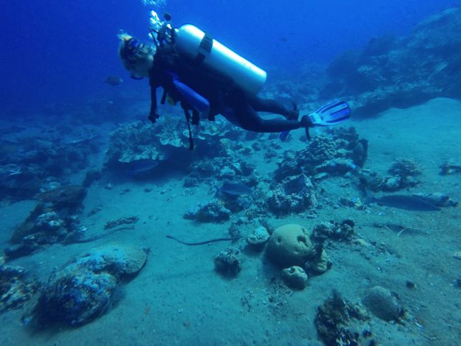 Apo Island, The Philippines