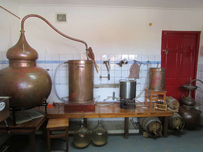 Cadushy Destillery, Rincon/Bonaire