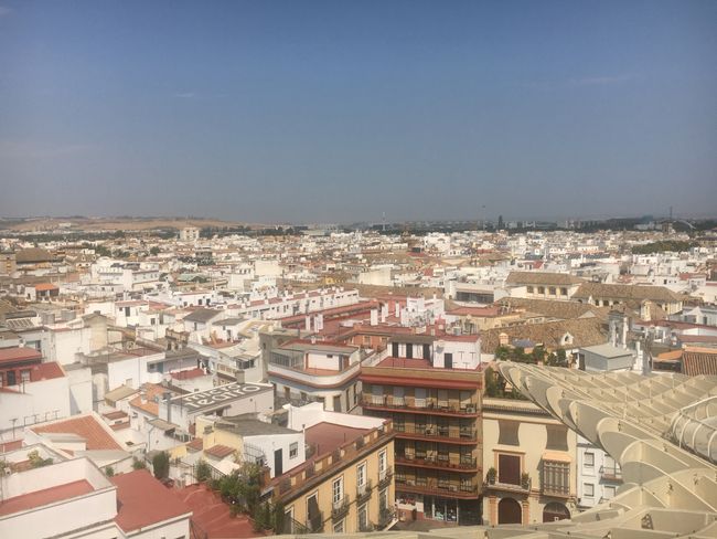 Seville 🇪🇸