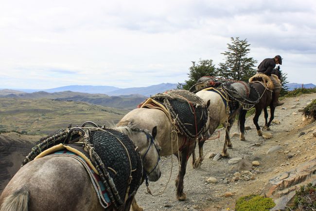 eine Pferde-Karawane im Torres del Paine National Park