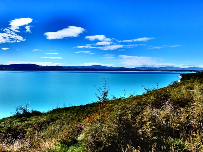 Lake Pukaki - soll einer der blauseten Seen sein