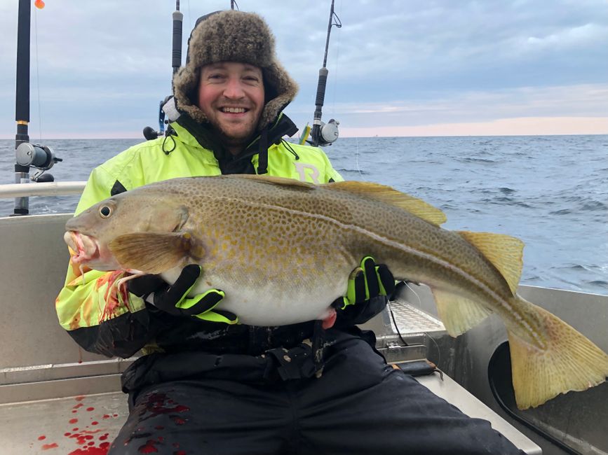 Proud as a peacock of his first Skrei (winter codfish)