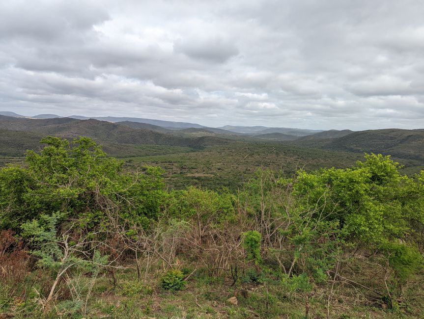 Hluhluwe-Imfolozi-Nationalparks