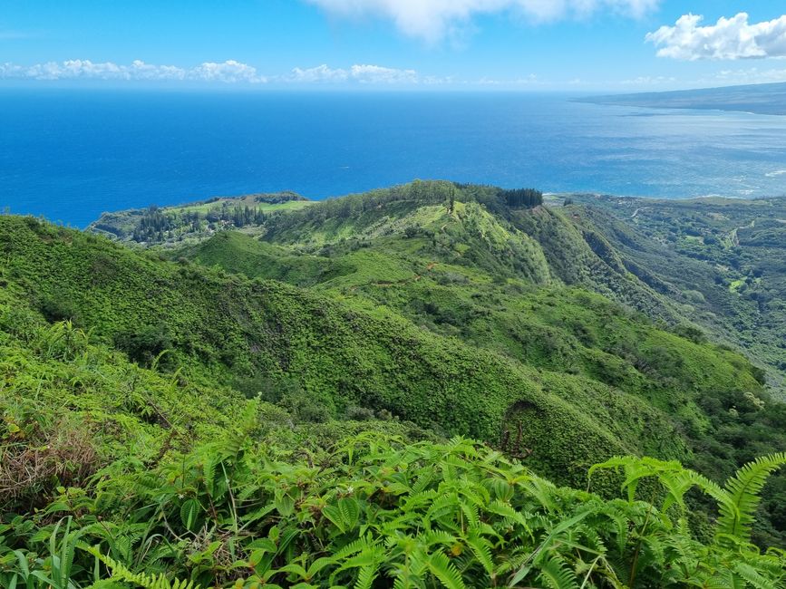 Hawaii 2022 - Part 3: Maui