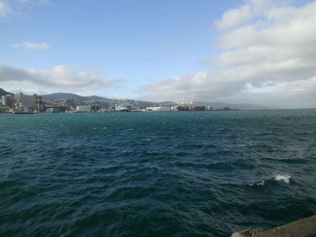 Wellington Harbor