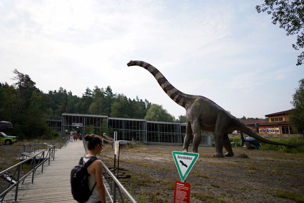 Tag 4: Ich glaub, die Dinos sind da!