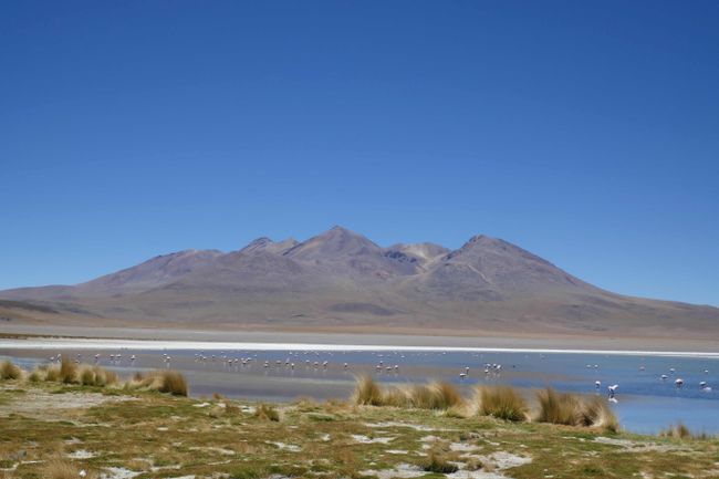F: Südbolivien (Salar, Lagunas Andinas, Desiertos, Licancabur)