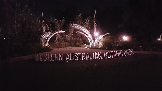 Botanical garden at night in Kings Park.