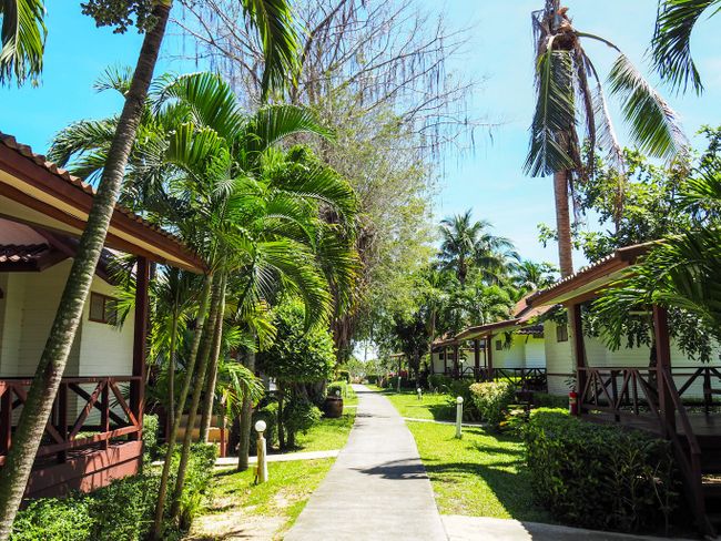 Koh Samui - Coco Palm Beach Resort