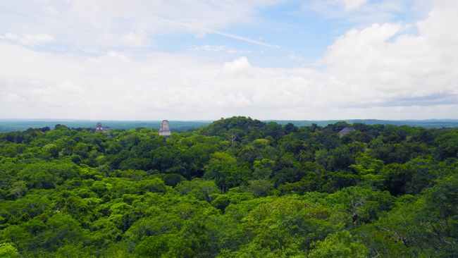 Tikal - Aussicht von Templo IV