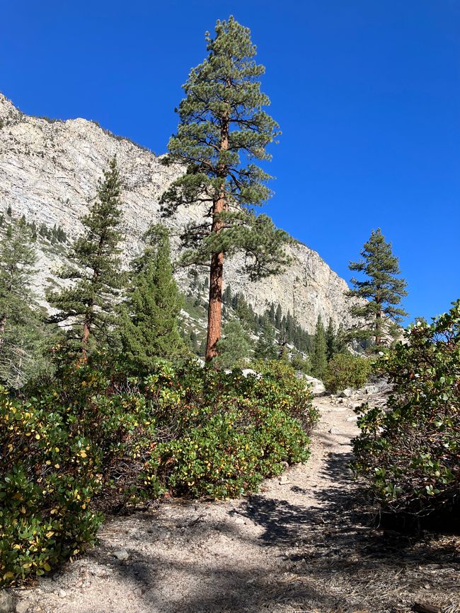 High Sierra Trail Day 4