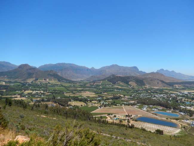 Stellenbosch Wine Region