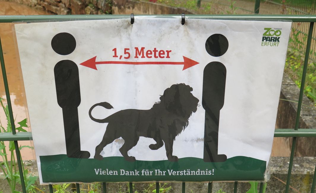 Keep distance even in the zoo