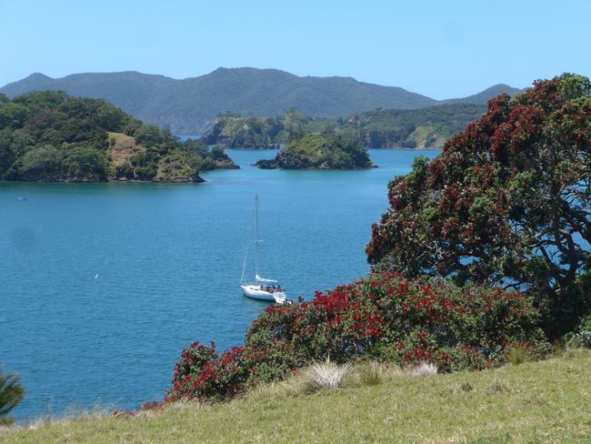 Sahnetour - Bootsfahrt durch die Bay of Islands (Neuseeland Teil 10)