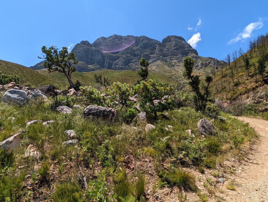 Biken im Jonkershoek Nature Reserve