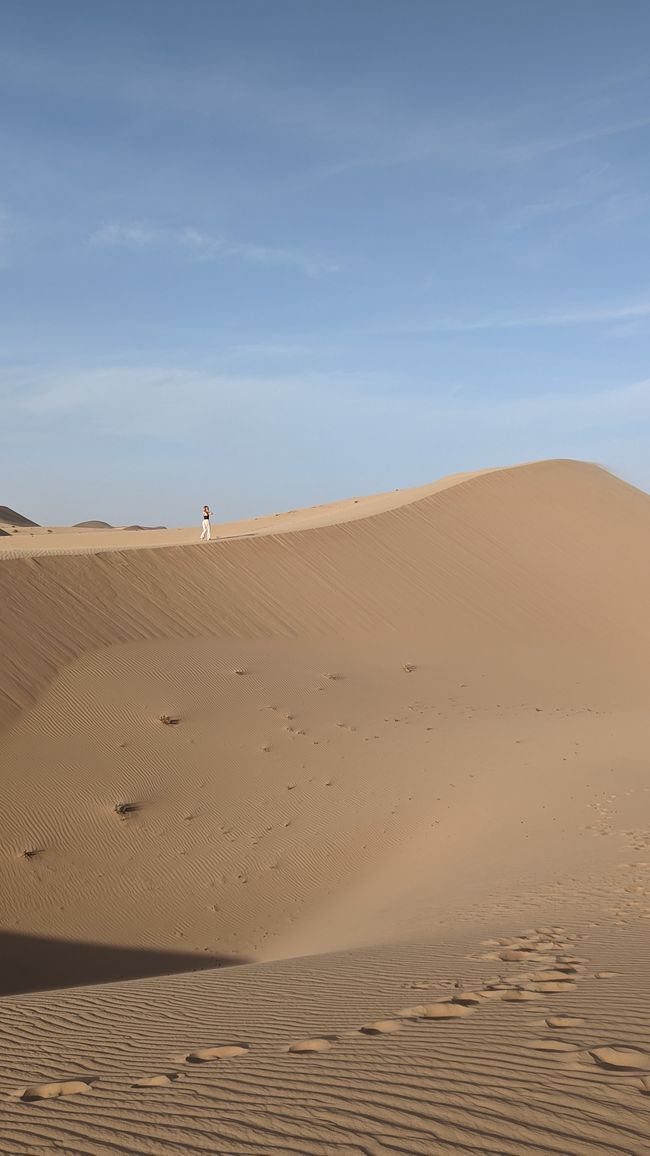Tag 11 (2023) Abu Dhabi: BBQ in der Wüste & Erklimmen der höchsten Düne!
